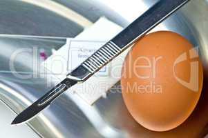 Lebensmittelkontrolle bei Eiern