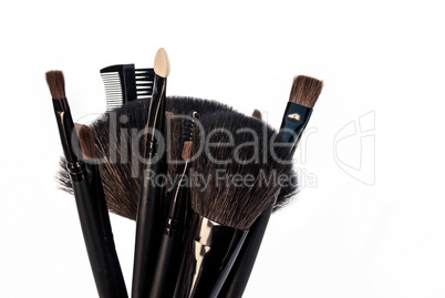 Make Up Brushes