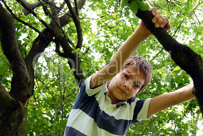 Boy on tree