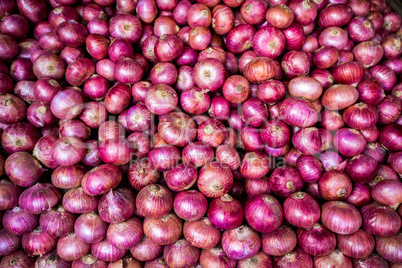 Onions Background