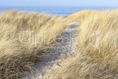 Dünenlandschaft am Schönberger Strand, Schleswig-Holstein, Deu