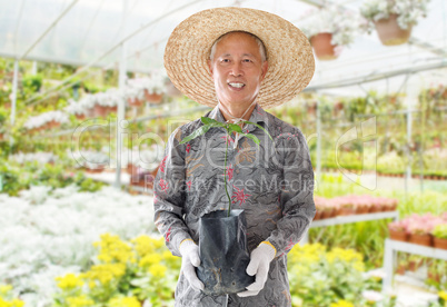 Asian Chinese farmer