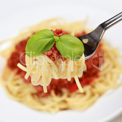 Spaghetti Bolognese auf einer Gabel