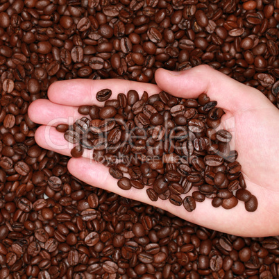 Hand mit Kaffeebohnen