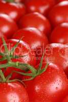 Tomaten als Hintergrund und mit Textfreiraum