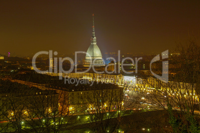 Turin view