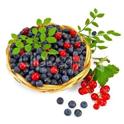 Blueberries with red currants