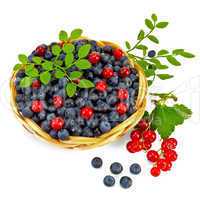 Blueberries with red currants