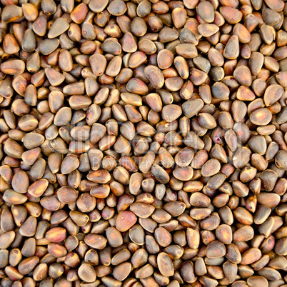Cedar nuts texture