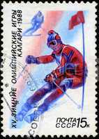 USSR - CIRCA 1988: A stamp printed in the USSR shows skiing, ser