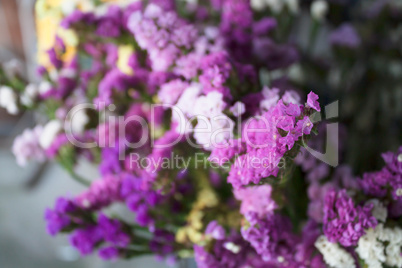Focus fresh purple statice flowers