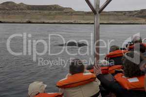 Whalewatching in Patagonia