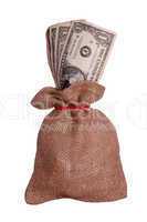 dollars in brown sack