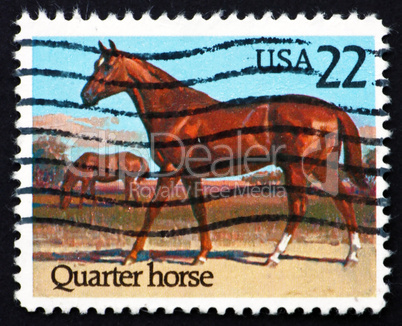 postage stamp usa 1985 quarter horse, race horse