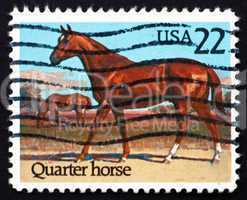 postage stamp usa 1985 quarter horse, race horse