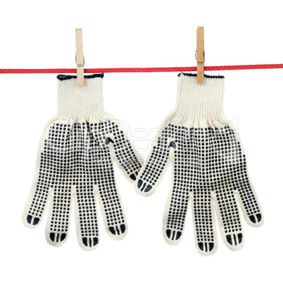 Two working gloves