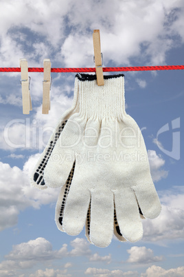 Two working gloves
