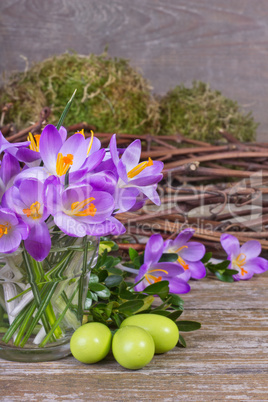 crocuses