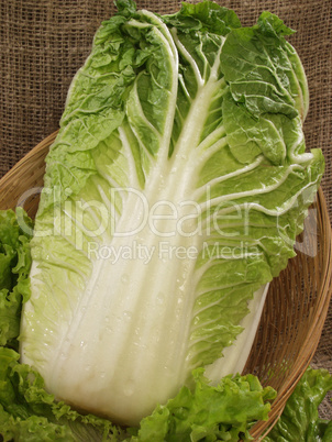 chinese cabbage