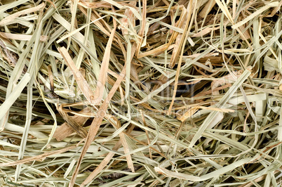 Background of  meadow hay