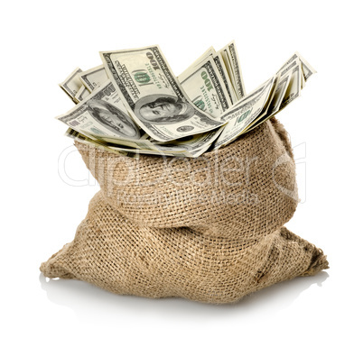 Dollar in the bag