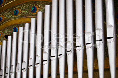 Organ pipes