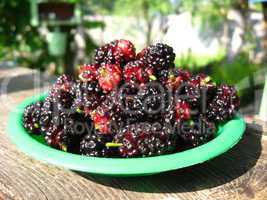 ripe dark berries of a mulberry on a plate