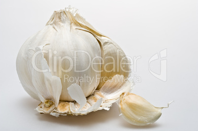 Knoblauch