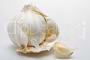 Knoblauch