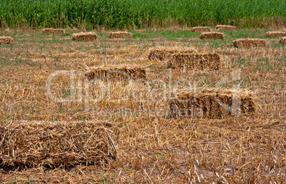 Bales of hay