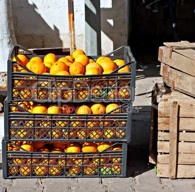 Crates of oranges at street market