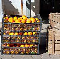 Crates of oranges at street market