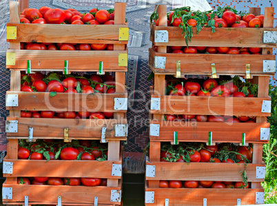 Crates of fresh tomatoes at street market
