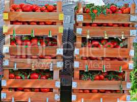 Crates of fresh tomatoes at street market