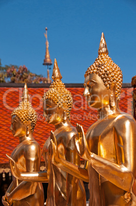 Doi Suteph3