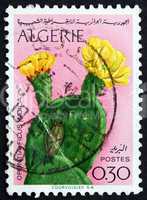 postage stamp algeria 1969 opuntia ficus indica, cactus