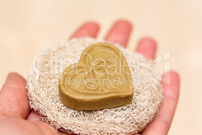 Natural Heart-Soap on the Sponge in the Open Palm