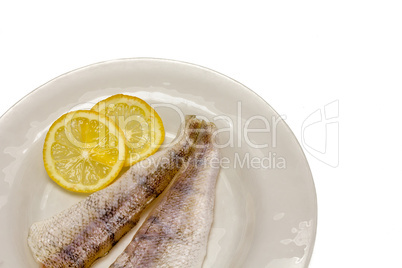 Two raw fish filets in white plate