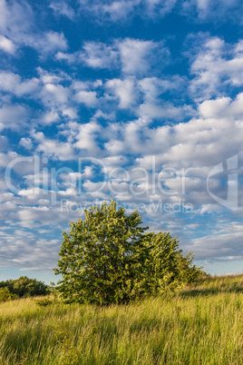 Feldberger Seenlandschaft