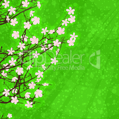 Spring floral card