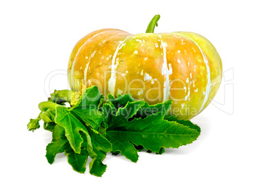 Pumpkin yellow with leaf