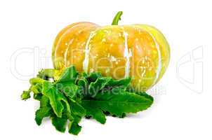 Pumpkin yellow with leaf
