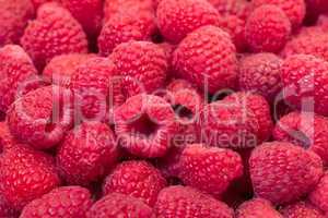 Ripe Berry Red Raspberry