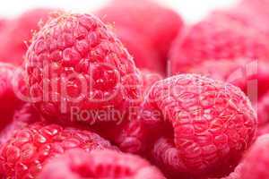 Ripe Berry Red Raspberry