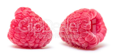 Ripe Berry Red Raspberry