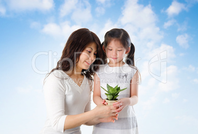 Asian family taking care plant