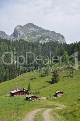 Grundalm mit Tennengebirge