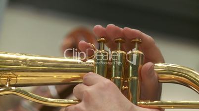 Trompete, Musiker