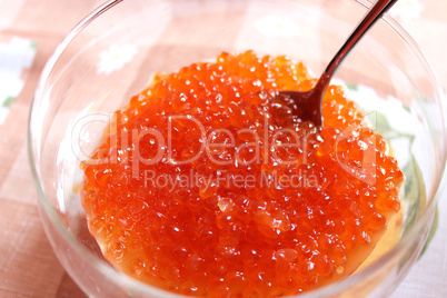 red caviar in a plate with the spoon