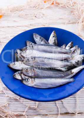 herrings